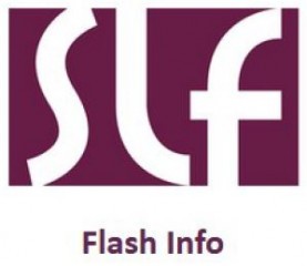 slf_flash_info.jpg